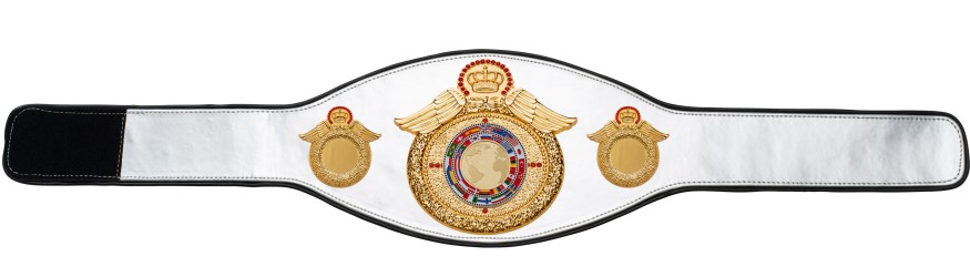 CHAMPIONSHIP BELT PROWING/G/FLAGG - AVAILABLE IN 6+ COLOURS